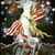 David Ensley's profile image