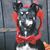 Loretta Casey's profile image