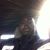 Curtis Scott's profile image