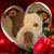 Chris Hancock's profile image