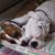 Michele Lee Baratto's profile image