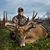Todd Graf's profile image