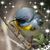 Debi Pilkington's profile image