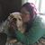 Courtney Schmidt's profile image