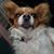 Crystal Lynn Darrington's profile image