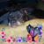 Verbee Faucette's profile image