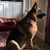 Sondra Simmons Hollis's profile image