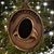 Lynn Davis Edwards's profile image
