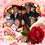 Helen-John Meager's profile image