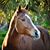 Lori Ewing Lee's profile image
