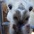 Candy Sue Schmitz's profile image