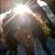 Jessica-Charlie Wyte's profile image