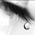 Vicky Estrada's profile image