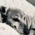 Dena Marie Johnson's profile image