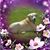 Linda Putzer's profile image