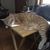 Theodore Picraux's profile image