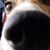 Brenda Jordan Ward's profile image