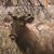 Terry Herndon's profile image