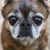 Magoo Holstrom's profile image