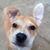 Cathy Bonich's profile image