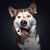 Antoinette Janson's profile image