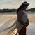 Valerie Garrett's profile image