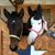 Susan Hathaway's profile image