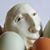Anne Arthur's profile image