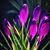 PhiHo Le's profile image