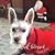 Arlene Skinner Cotty's profile image