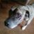 Lisa Gruwell Oordt's profile image