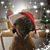 Kathy Buono's profile image