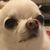 Emanuel Hernandez's profile image