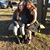 Amanda Howard-Suggs's profile image
