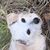 Karen Mason Whittington's profile image