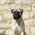Sara Patchen's profile image