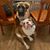 Molly Breslin's profile image