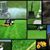 A LawnCare Southeastern's profile image