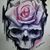 Robyn Lou Haggerty's profile image