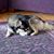 Kim Knutson Weber's profile image