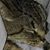 Jamie Hatt's profile image
