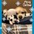 Kathi Parton's profile image