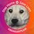 Darryll Williams's profile image