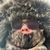 Janet Kupstas DiMaria's profile image