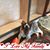 Christy Bridgeman Souza's profile image