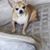 Erin O'Gara Dollard's profile image