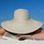 Jessica L. Jarvis-Davies's profile image
