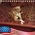 Terry Miller's profile image