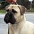 Nancy Orr Rainey's profile image