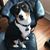 Virginia Bastone's profile image
